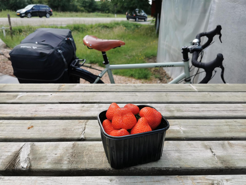 Stopping for strawberries