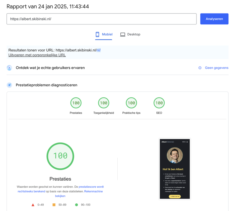 Pagespeed perfect score 100